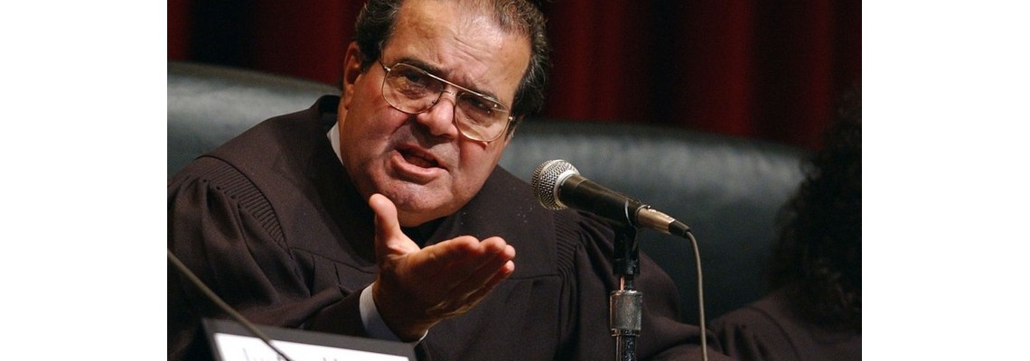 scalia-SITE