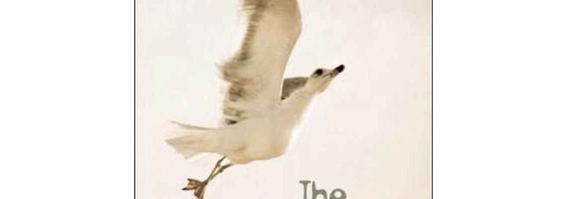 the-seagull